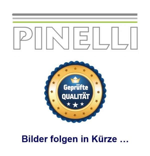 Pinelli Filtertechnik Bilder folgen in Kuerze 1